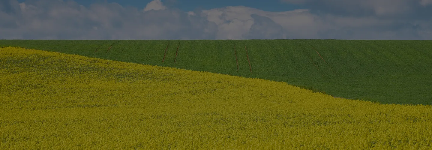 Products Header